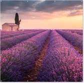 Tuin poster Lavendel - Bloemen - Paars - Veld - 200x200 cm - Tuindoek - Buitenposter