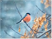 Affiche de Jardin Rouge-gorge - Vogel - Neige - Feuilles d'automne - 200x200 cm - Toile de jardin
