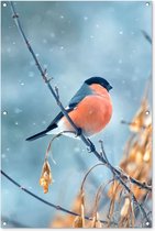 Tuinposter - Vogel - Roodborstje - Takken - Bladeren - Winter - Goud - 80x120 cm - Tuinposters - Wanddecoratie - Tuindecoratie - Tuindoek - Buitenposter