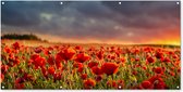 Décoration murale murale extérieure Sunset - Coquelicots - Rouge - 160x80 cm