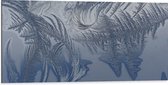 Dibond - Bevroren Vogel Veren - 100x50 cm Foto op Aluminium (Wanddecoratie van metaal)