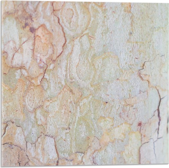 Acrylglas - Beige Muur met Textuur van Lijnen - 50x50 cm Foto op Acrylglas (Met Ophangsysteem)