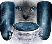 Hollywood Nails - Cat Eye Color Gel 787 - metallic blauw / blauwe color gel - polish - gelpolish - gellak - nagels - nagelverzorging - nagelstyliste - uv / led - nagelstylist – callance
