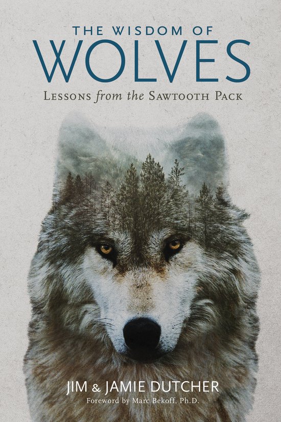 The Wisdom of Wolves Lessons From the Sawtooth Pack - cover