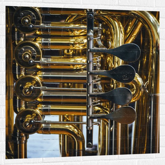 Muursticker - Knoppen van Gouden Trompet - 100x100 cm Foto op Muursticker