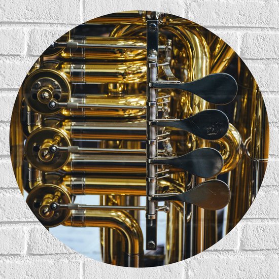 Muursticker Cirkel - Knoppen van Gouden Trompet - 60x60 cm Foto op Muursticker