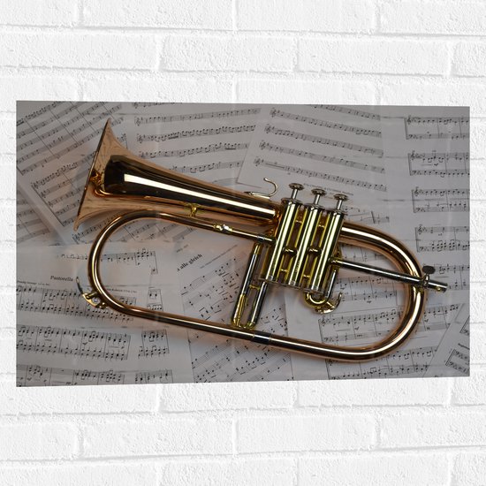 Muursticker - Gouden Trompet op Muzieknoten Bladeren - 75x50 cm Foto op Muursticker