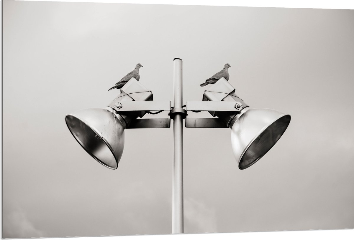 Dibond - Grote Speakers op Paal - 120x80 cm Foto op Aluminium (Met Ophangsysteem)