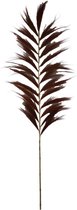 Plume décorative - 65x1,2-2x220 - Cognac - Bamboe