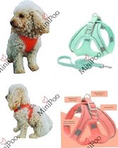 Hondenharnas | Puppy Tuigje | Geschikt voor teacup en toy breeds | Mint Groen | XXS