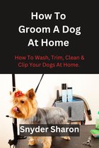 How To Groom A Dog At Home