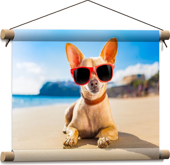 Textielposter - Coole Chihuahua Hond liggend op het Strand aan de Zee met Zonnebril - 40x30 cm Foto op Textiel
