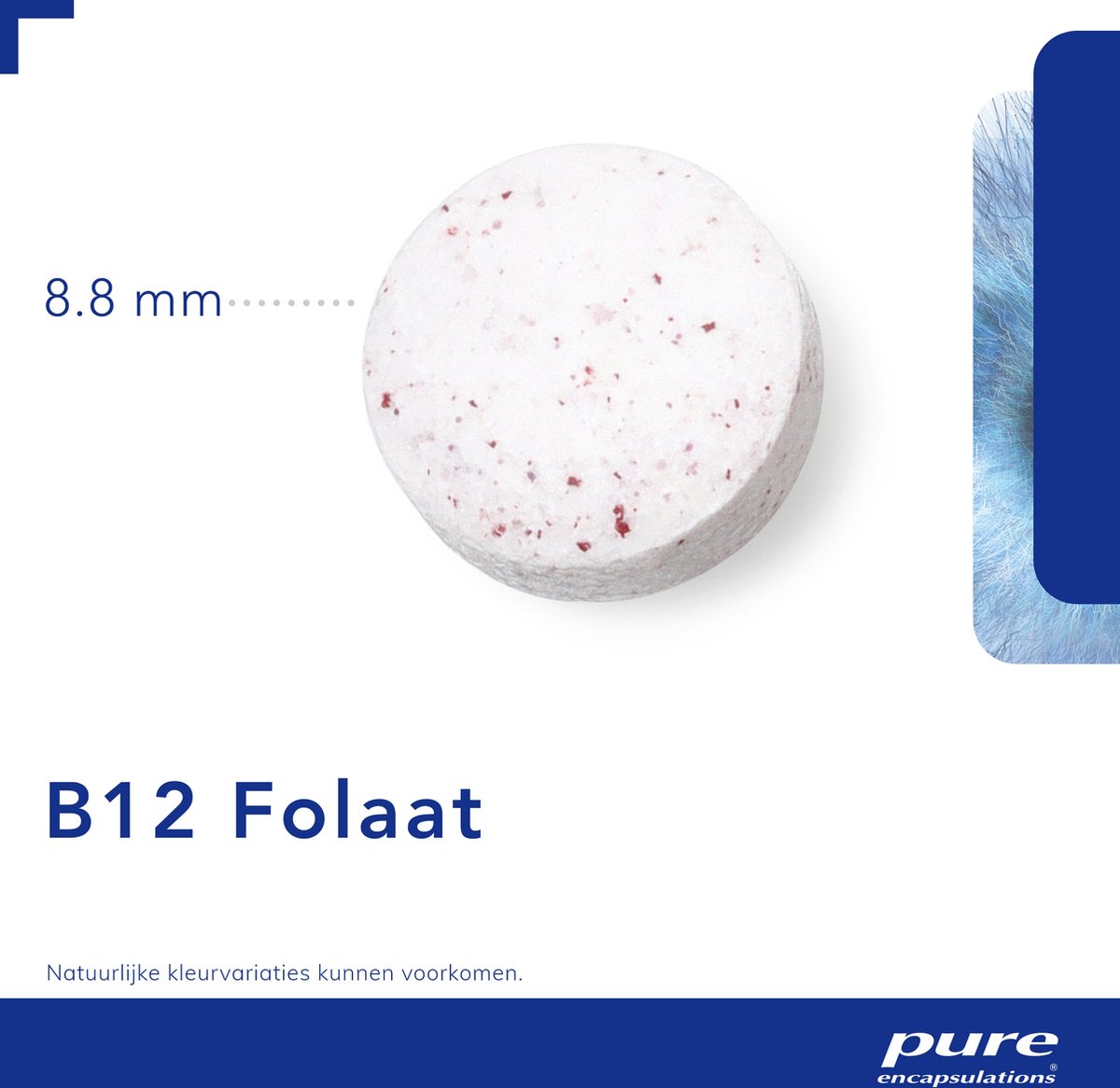 Complément Alimentaire Pure Encapsulations B12 + Folate - 90 Gélules - Référence PZN12341746
