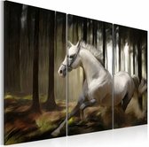 Schilderij - Paard in het bos, schimmel , zwart wit , 3 luik