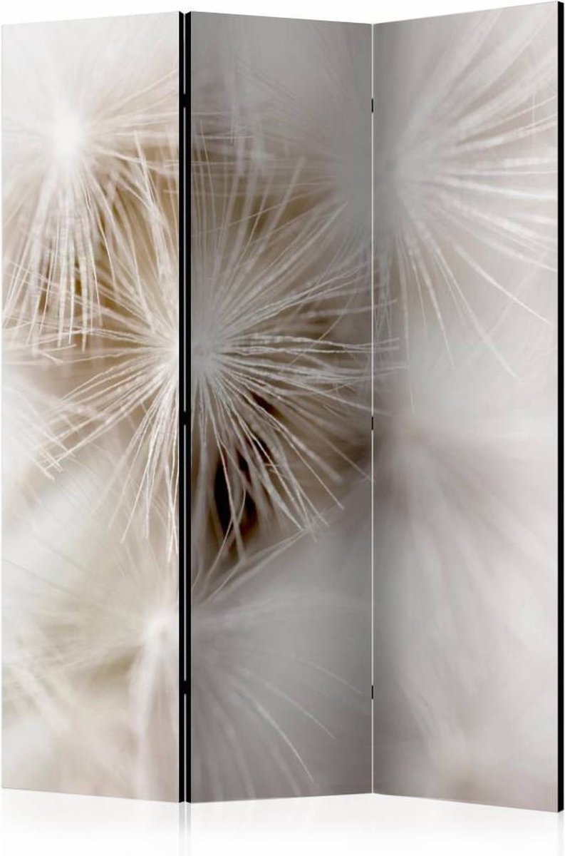 Vouwscherm / Kamerscherm - Subtiliteit 135x172cm , gemonteerd geleverd, dubbelzijdig geprint