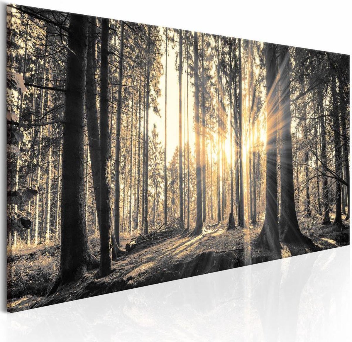 karo-art Schilderij - Tussen de bomen door Multikleur