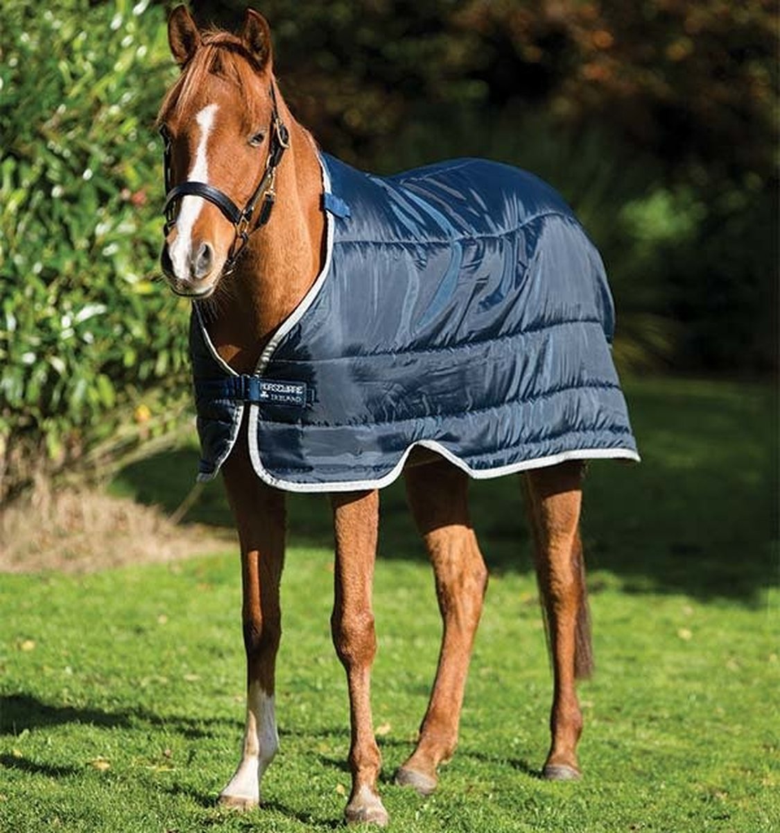 Costume Seersucker Bleu Ciel avec Polo Blanc | Hockerty