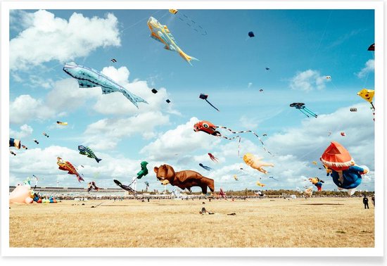 JUNIQE - Poster Vliegparade van dieren -20x30 /Kleurrijk