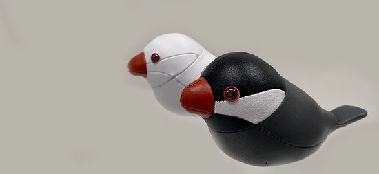 Zuny Rijstvogeltjes-Set-Java-Sparrows | bol.com