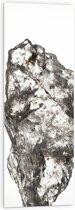 Acrylglas - Groot Wit Doorzichtig Kristal tegen Witte Ondergrond - 40x120 cm Foto op Acrylglas (Wanddecoratie op Acrylaat)