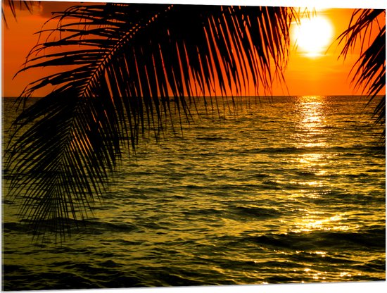 Acrylglas - Silhouet van Palmbladeren hangend boven de Zee tijdens Zonsondergang - 100x75 cm Foto op Acrylglas (Met Ophangsysteem)