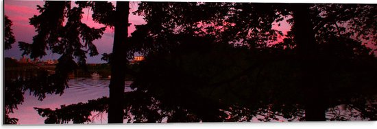 Dibond - Silhouet van Bladeren aan Bomen bij Groot Meer tijdens Rozekleurige Zonsondergang - 90x30 cm Foto op Aluminium (Wanddecoratie van metaal)