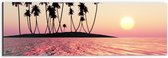 Dibond - Silhouet van Palmbomen op Onbewoond Eiland in de Oceaan bij Zonsondergang - 60x20 cm Foto op Aluminium (Wanddecoratie van metaal)