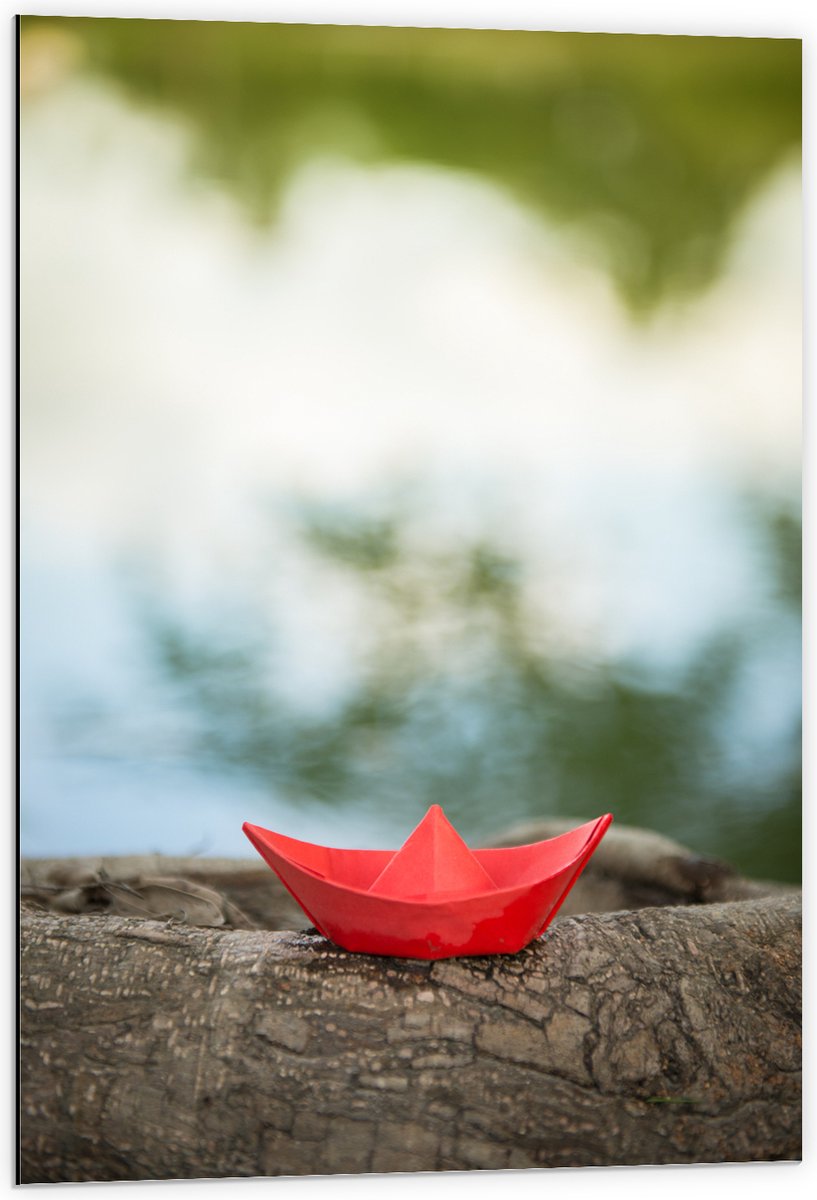Dibond - Rood Origami Bootje op Boomstam langs Water - 60x90 cm Foto op Aluminium (Wanddec