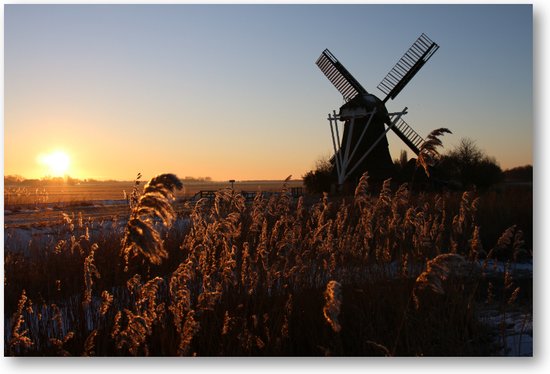 Molen in de zon - Foto op Plexiglas