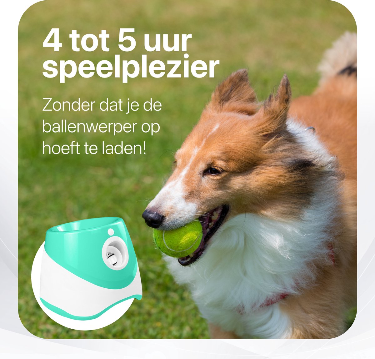 Kong hond Squeakair met piep medium, net à 3 tennisballen. ( 6,5 cm