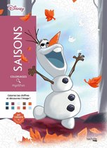 Coloriages Mystères Disney Saisons - Héros Hachette - coloriage par numéro - Livre de coloriage pour adultes