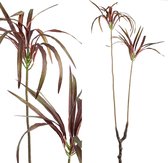 PTMD Leaves Plant Yucca Kunsttak - 98 x 36 x 117 cm - Bordeaux