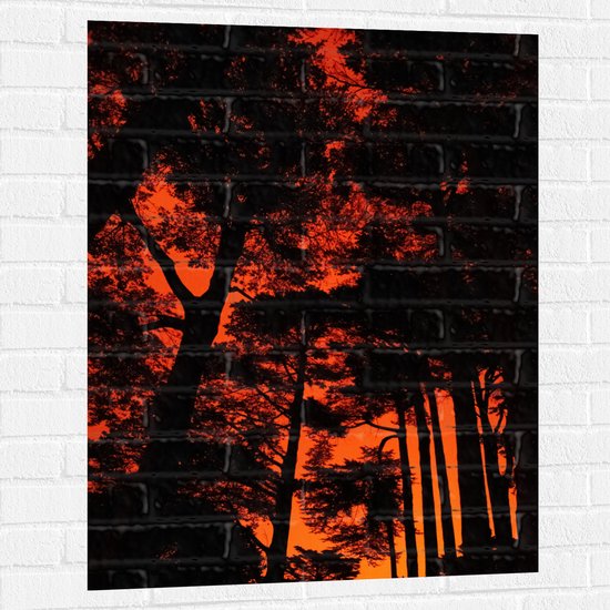 WallClassics - Muursticker - Silhouet van Groep Bomen tegen Oranje Lucht - 75x100 cm Foto op Muursticker
