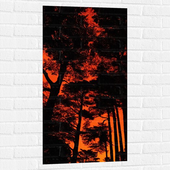 WallClassics - Muursticker - Silhouet van Groep Bomen tegen Oranje Lucht - 50x100 cm Foto op Muursticker