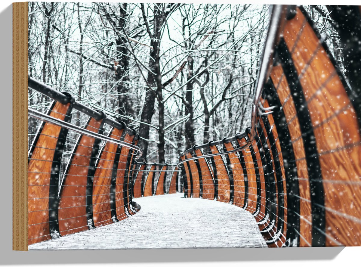Hout - Hekwerk in Ondergesneeuwd Bos - 40x30 cm - 9 mm dik - Foto op Hout (Met Ophangsyste
