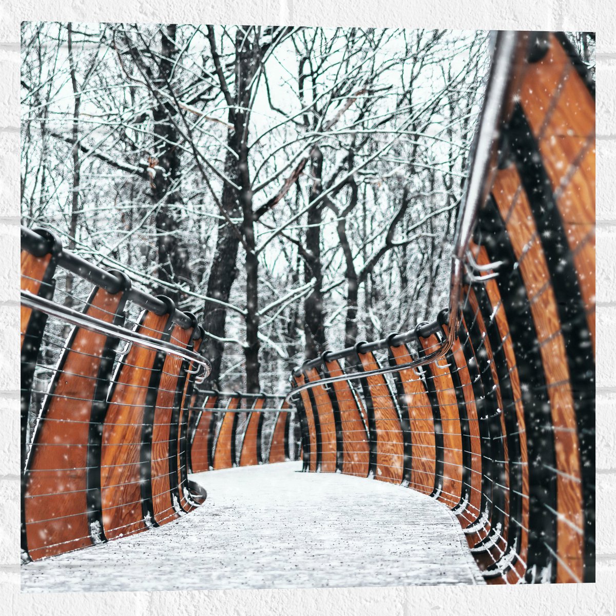 Muursticker - Hekwerk in Ondergesneeuwd Bos - 50x50 cm Foto op Muursticker