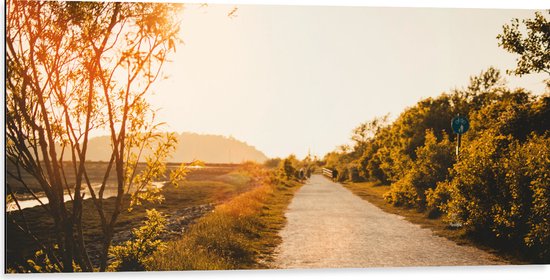 Dibond - Zonnestralen in de Avond op Loop- en Fietspad - 100x50 cm Foto op Aluminium (Met Ophangsysteem)