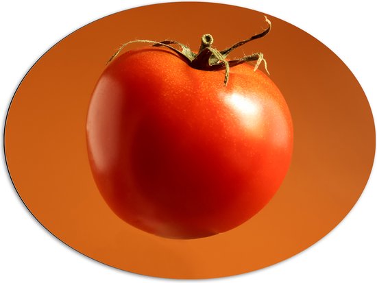 Dibond Ovaal - Rode Tomaat tegen Oranje Achtergrond - 96x72 cm Foto op Ovaal (Met Ophangsysteem)