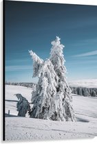 WallClassics - Canvas - Dikke Sneeuwlaag op Boom in Wit Landschap - 100x150 cm Foto op Canvas Schilderij (Wanddecoratie op Canvas)