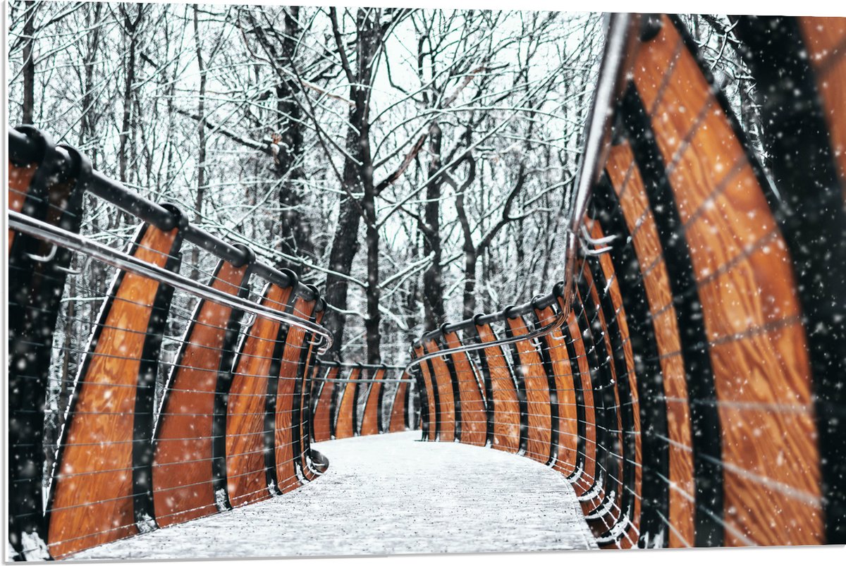 PVC Schuimplaat- Hekwerk in Ondergesneeuwd Bos - 90x60 cm Foto op PVC Schuimplaat