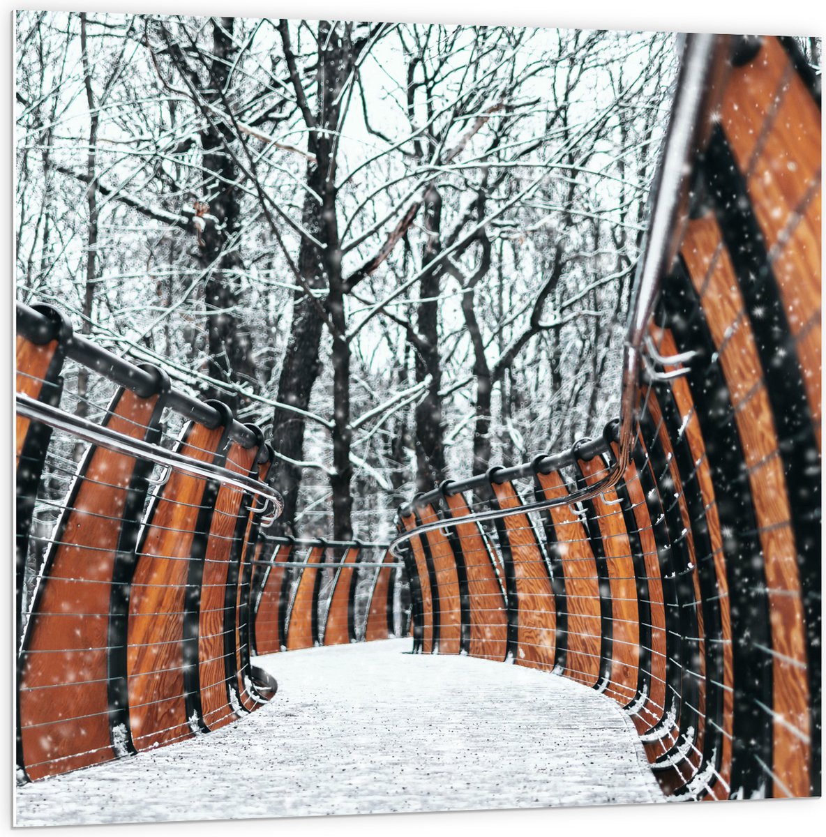 PVC Schuimplaat- Hekwerk in Ondergesneeuwd Bos - 100x100 cm Foto op PVC Schuimplaat