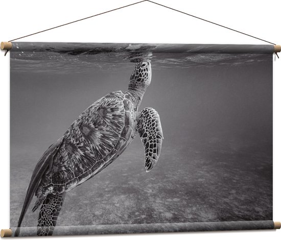 WallClassics - Textielposter - Zeeschildpad Zwemmend naar Wateroppervlak (Zwart- wit) - 90x60 cm Foto op Textiel