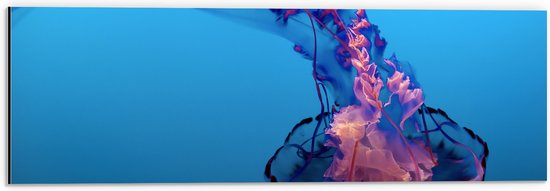 Dibond - Roze met Paarse Kwal in Felblauwe Zee - 60x20 cm Foto op Aluminium (Met Ophangsysteem)