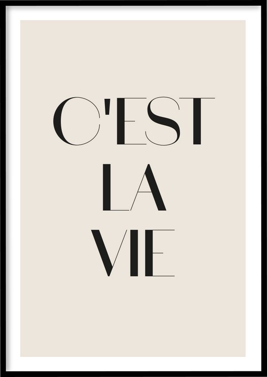 Affiche C'est La Vie - 30x40 cm avec Cadre Photo - Affiche Citations - Encadrée – WALLLL