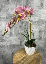 Orchidee - Phalaenopsis - Fuchsia - Kunstplant - H 62 cm Ø 45 cm - Dromist
