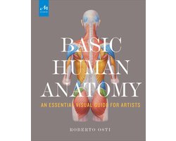 Basic Human Anatomy