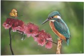 Vlag - IJsvogel en Vlinder op Bloesem Bloemen - 90x60 cm Foto op Polyester Vlag