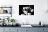Poster Bloemen - Zwart wit - Natuur - Planten - Rozen - 60x40 cm