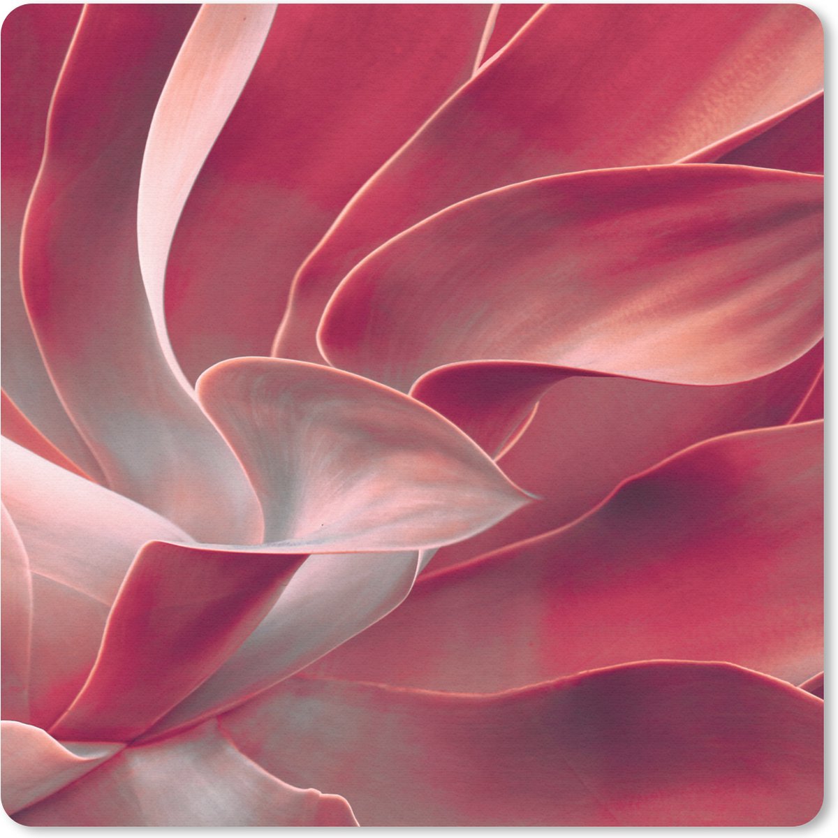 Muismat 30x30 cm - Mousepad Stilleven - Bladeren - Plant - Roze - Muismatten