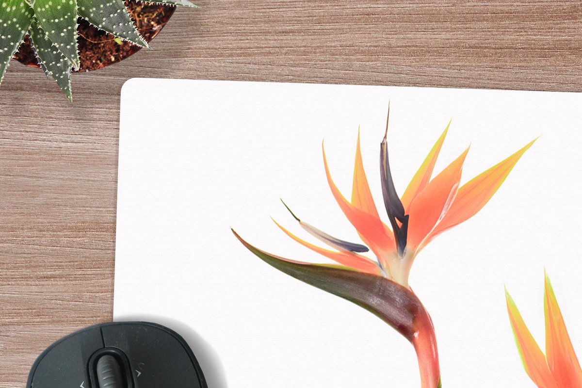 Muismat XXL 80x80 cm - Bureau onderlegger - Bureau mat Bloemen - Oranje - Natuur - Planten - Bureaumat - Gaming mousepad xl - Bureaulegger groot - Computer deskmat